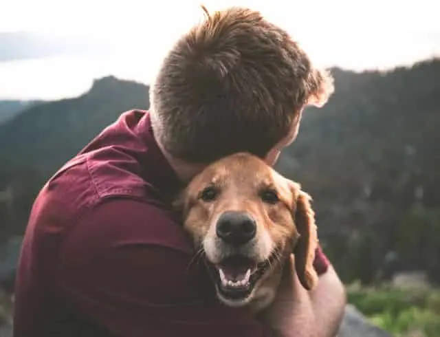 Gründe aus dem Tierheim adoptieren